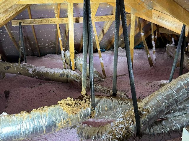 Attic insulation installed around framing, pipes and mechanical penetrations.